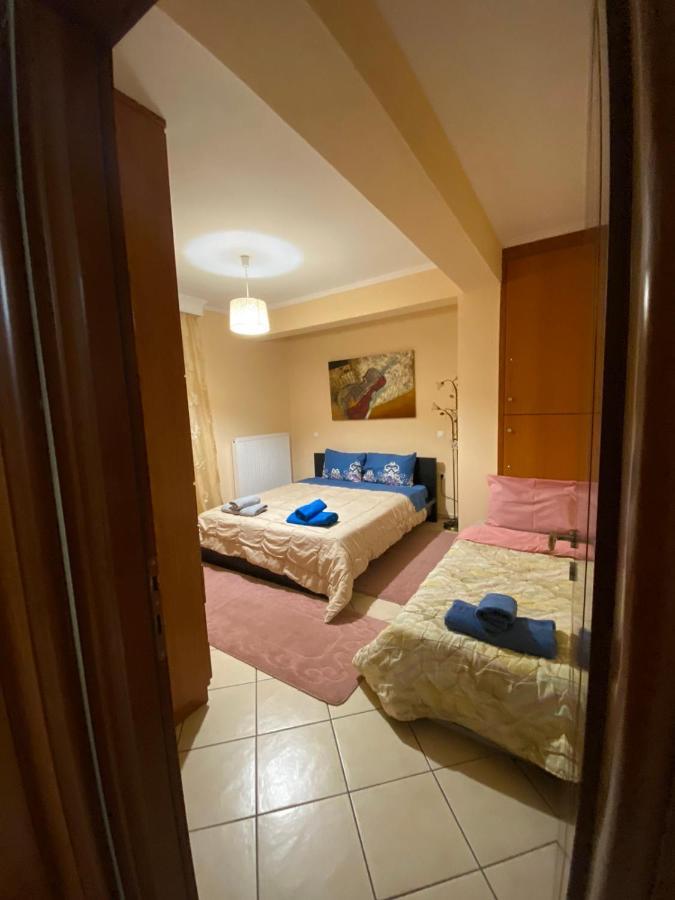 Bakopoulos Resort.Ενα Όμορφο Διαμέρισμα Με Τζάκι Tríkala エクステリア 写真