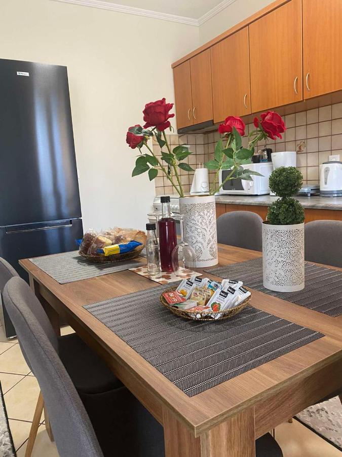 Bakopoulos Resort.Ενα Όμορφο Διαμέρισμα Με Τζάκι Tríkala エクステリア 写真