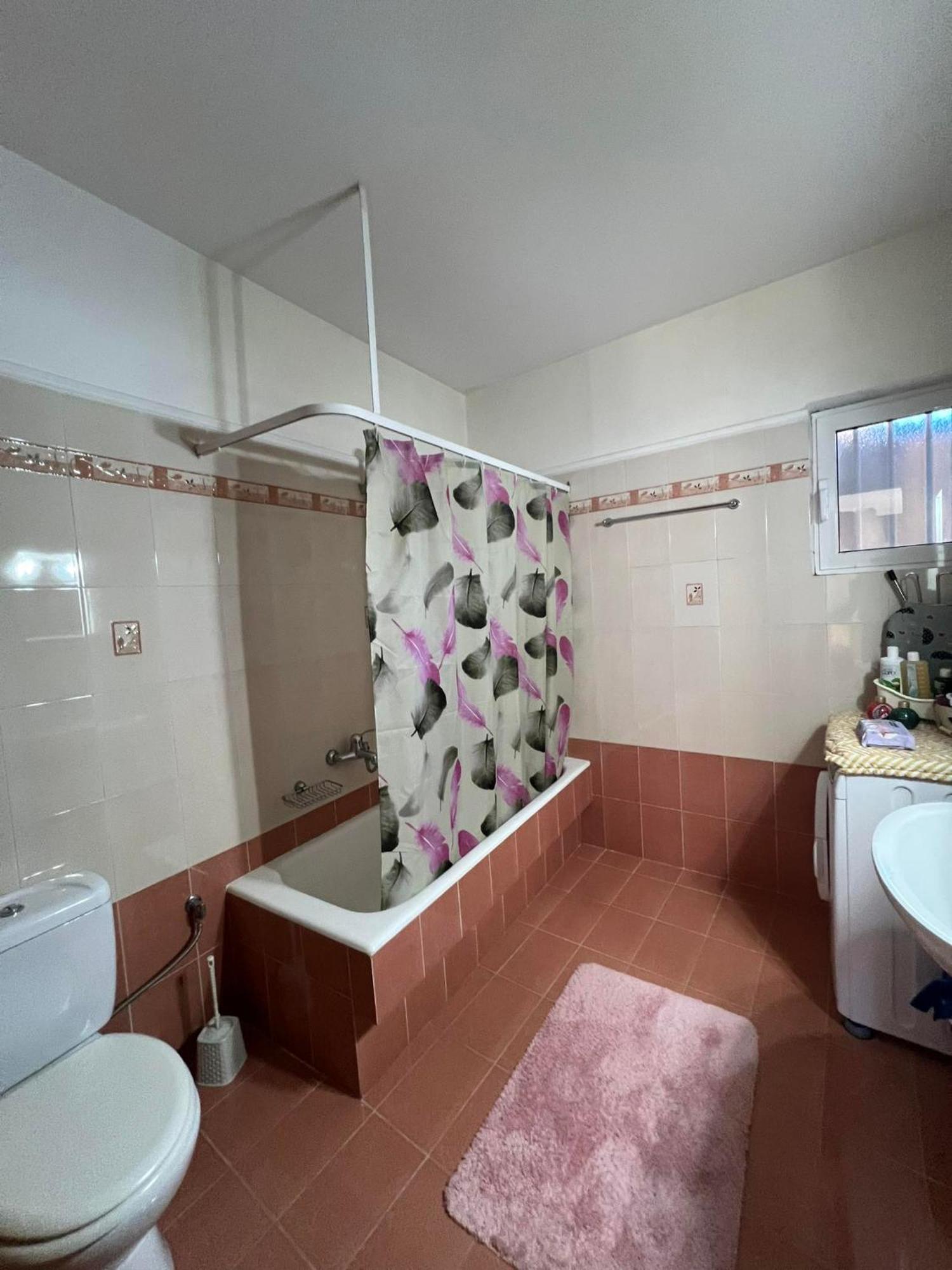 Bakopoulos Resort.Ενα Όμορφο Διαμέρισμα Με Τζάκι Tríkala エクステリア 写真