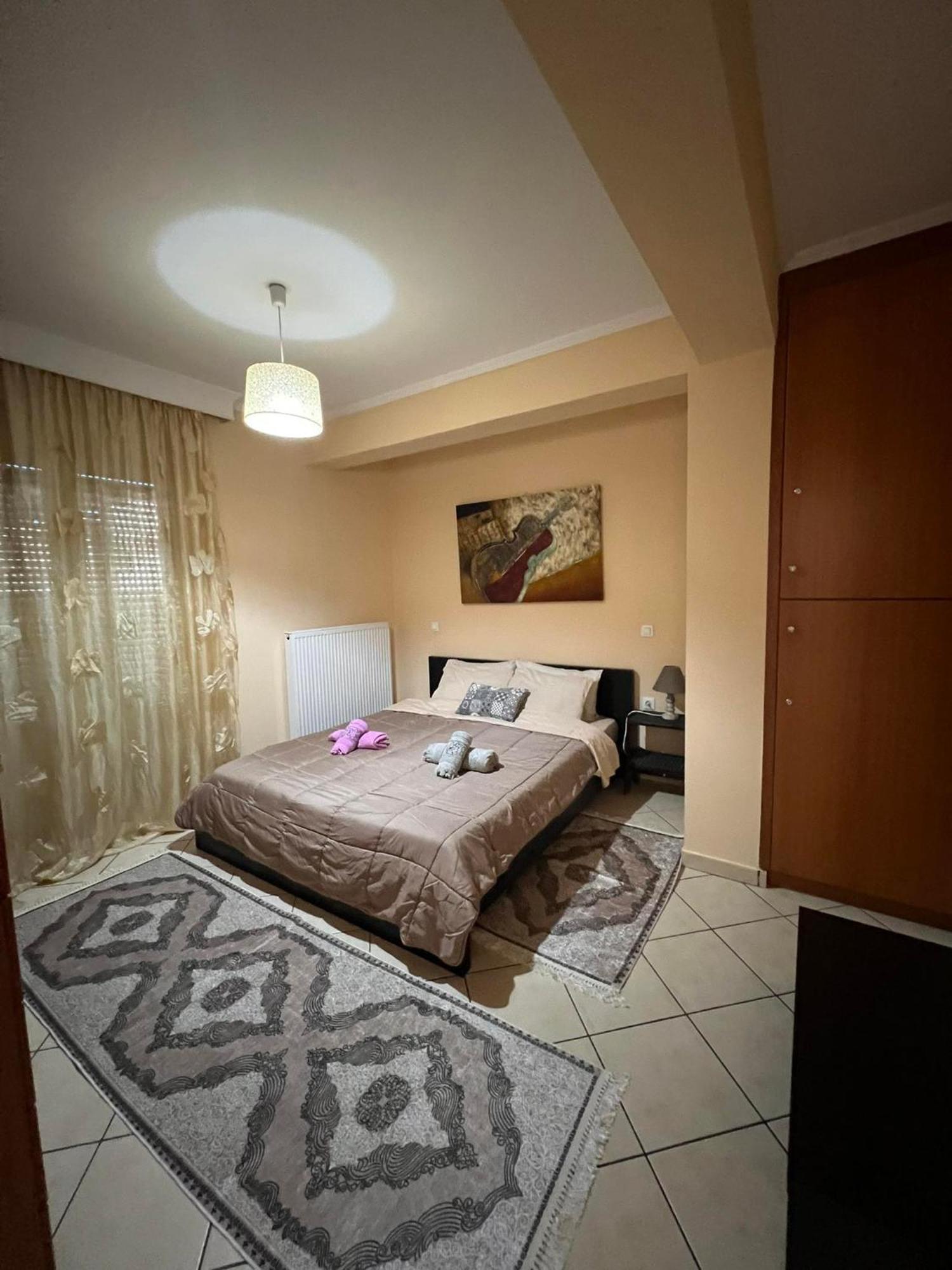 Bakopoulos Resort.Ενα Όμορφο Διαμέρισμα Με Τζάκι Tríkala エクステリア 写真